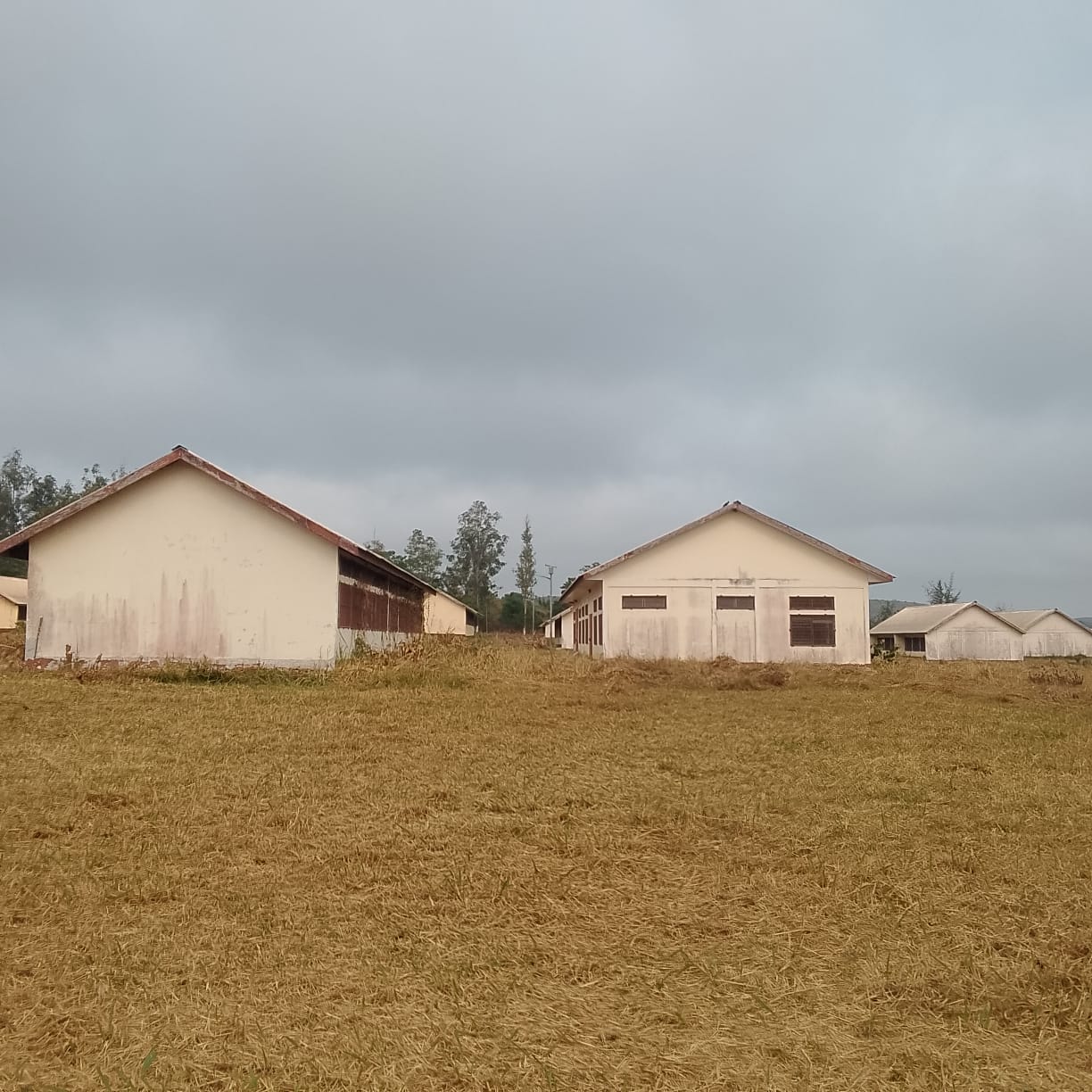 Photo 36 — état après, I.F.T.P.L. de Loudima