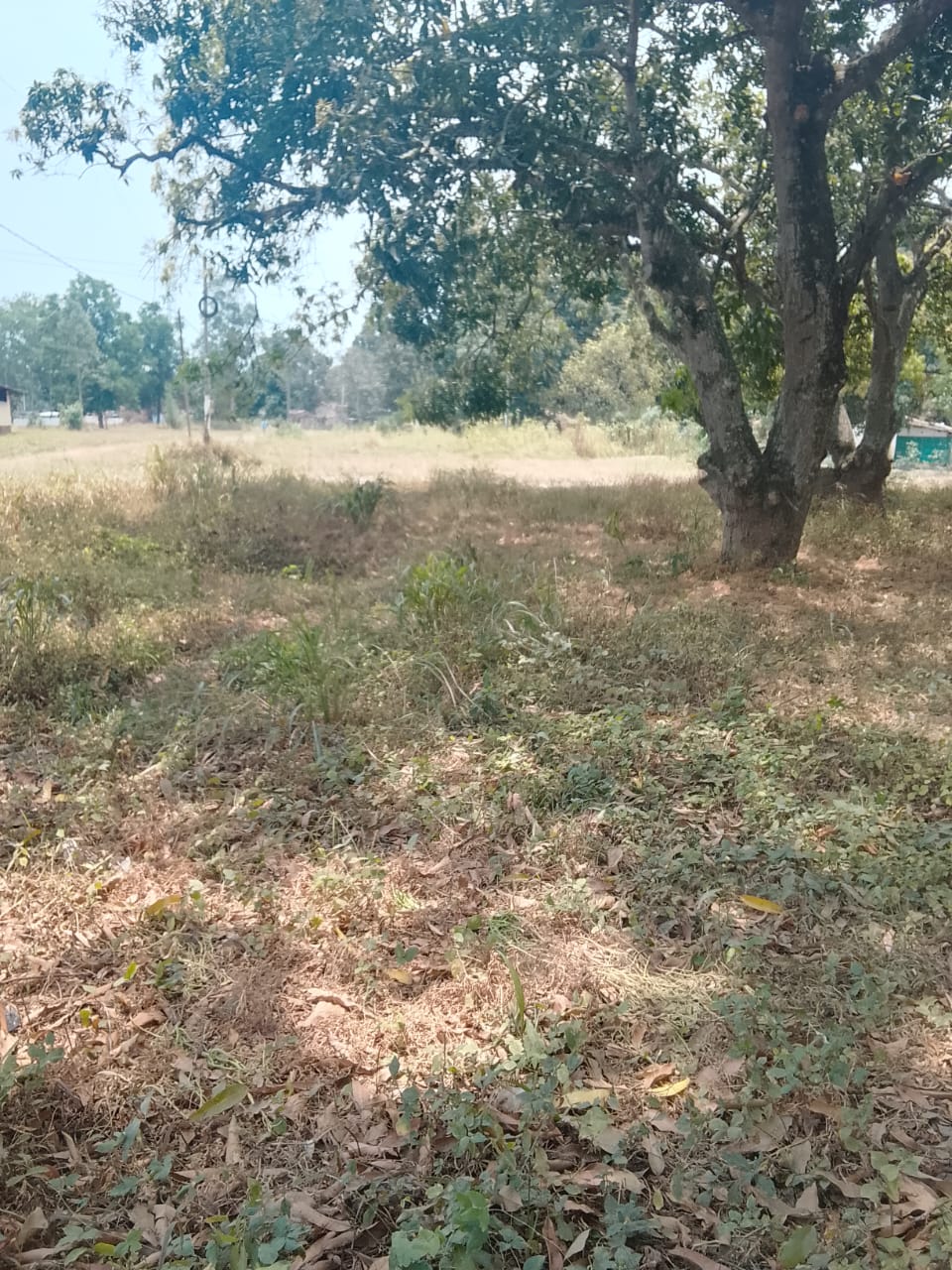 Photo 3 — avant les travaux, Lycée agricole du km 17 à Brazzaville