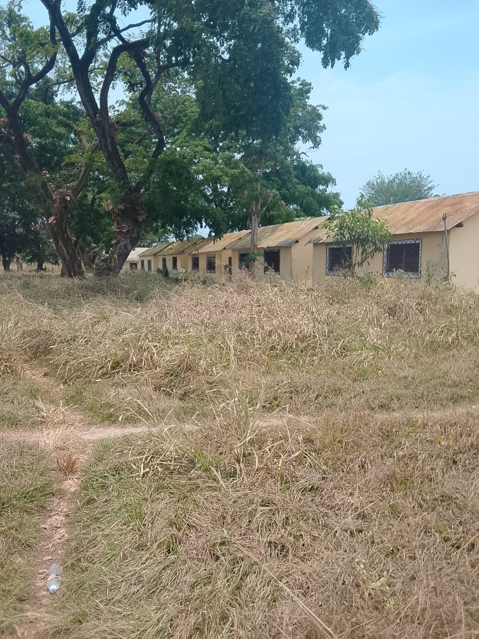 Photo 8 — avant les travaux, Lycée agricole du km 17 à Brazzaville