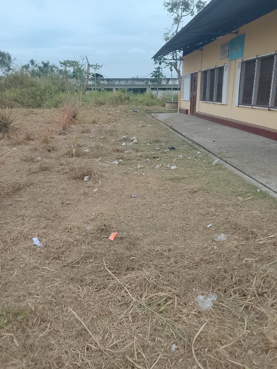 Photo 10 — après les travaux, Lycée agricole du km 17 à Brazzaville