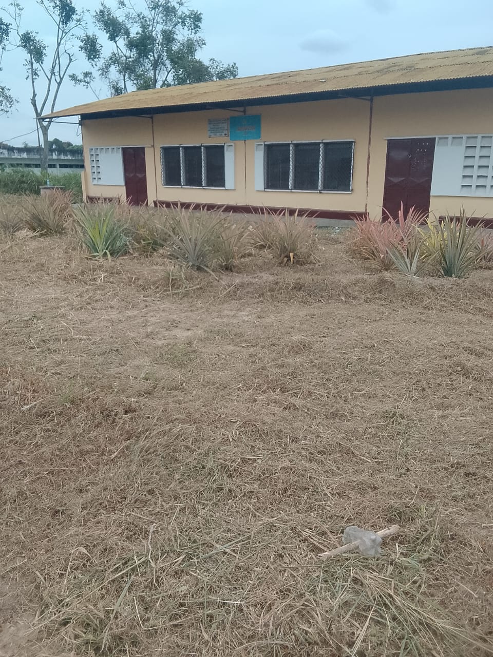 Photo 12 — après les travaux, Lycée agricole du km 17 à Brazzaville