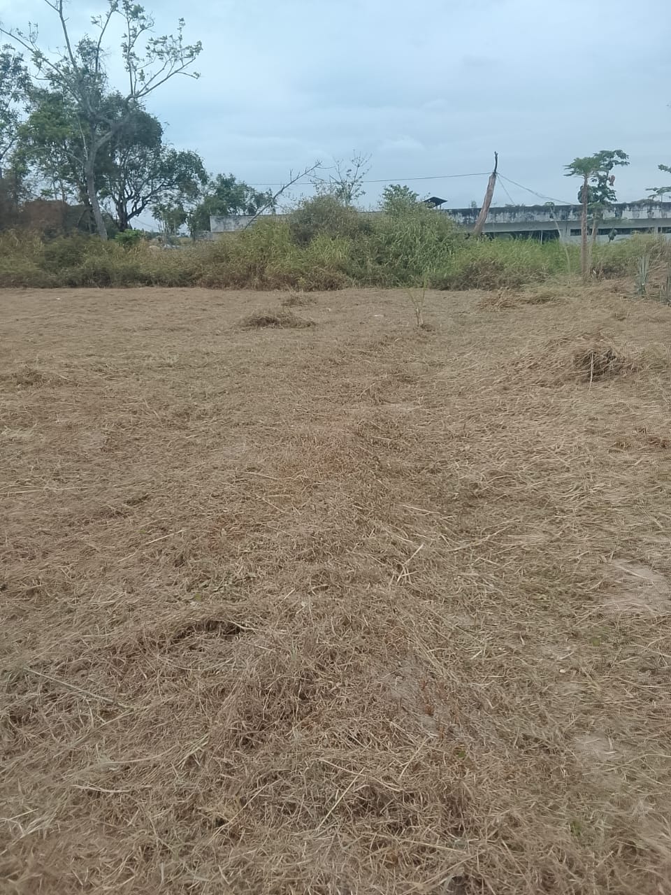 Photo 13 — après les travaux, Lycée agricole du km 17 à Brazzaville