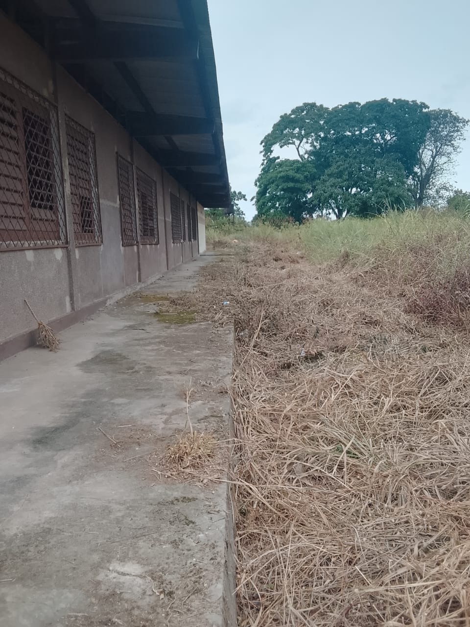 Photo 14 — après les travaux, Lycée agricole du km 17 à Brazzaville