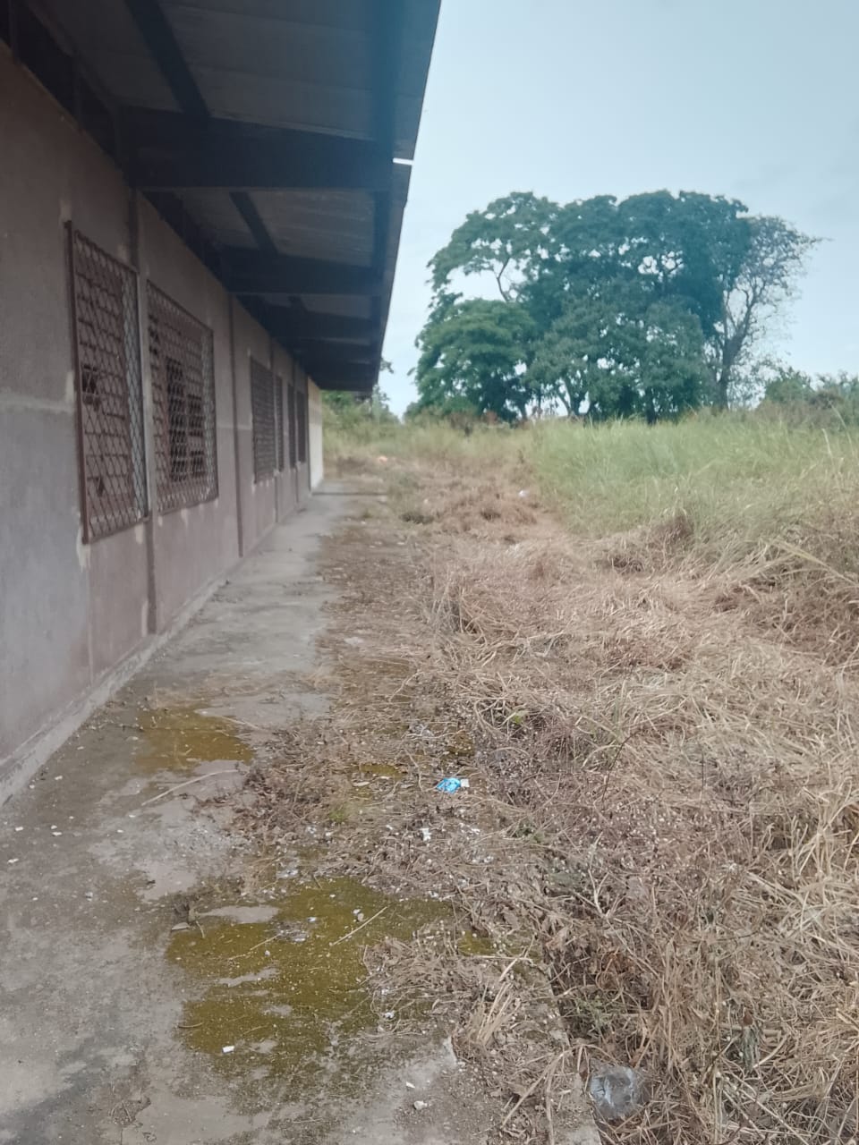 Photo 15 — après les travaux, Lycée agricole du km 17 à Brazzaville