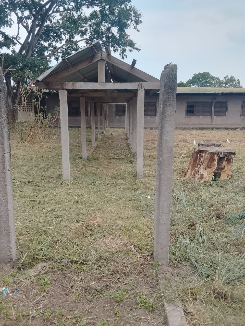 Photo 19 — après les travaux, Lycée agricole du km 17 à Brazzaville