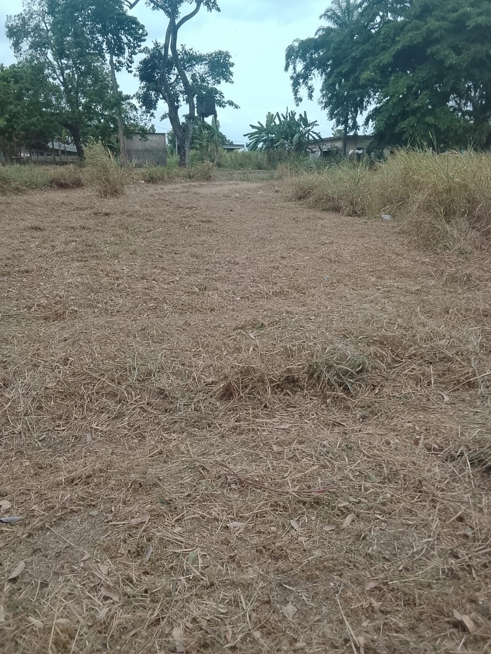 Photo 20 — après les travaux, Lycée agricole du km 17 à Brazzaville