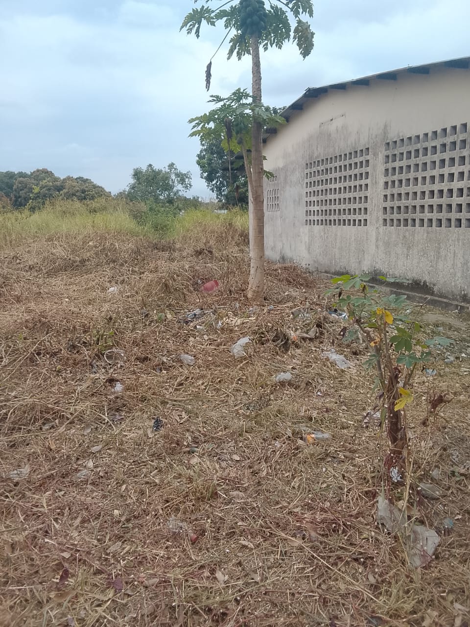 Photo 21 — après les travaux, Lycée agricole du km 17 à Brazzaville