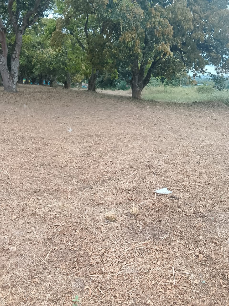 Photo 36 — après les travaux, Lycée agricole du km 17 à Brazzaville