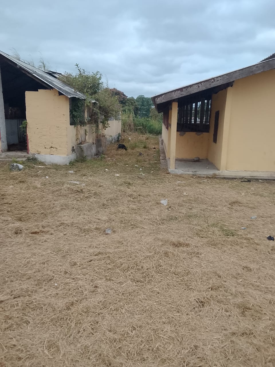 Photo 43 — après les travaux, Lycée agricole du km 17 à Brazzaville