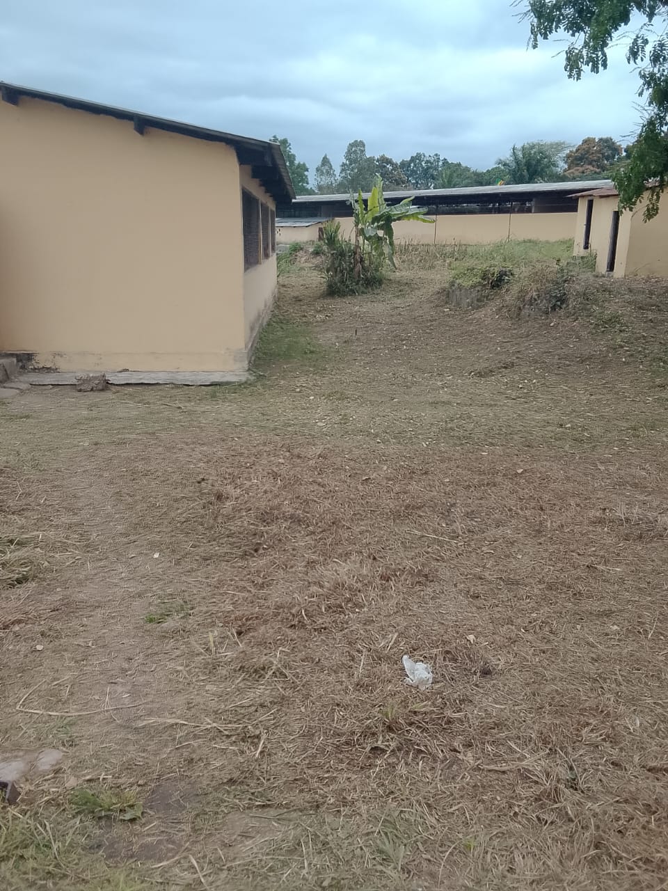 Photo 45 — après les travaux, Lycée agricole du km 17 à Brazzaville