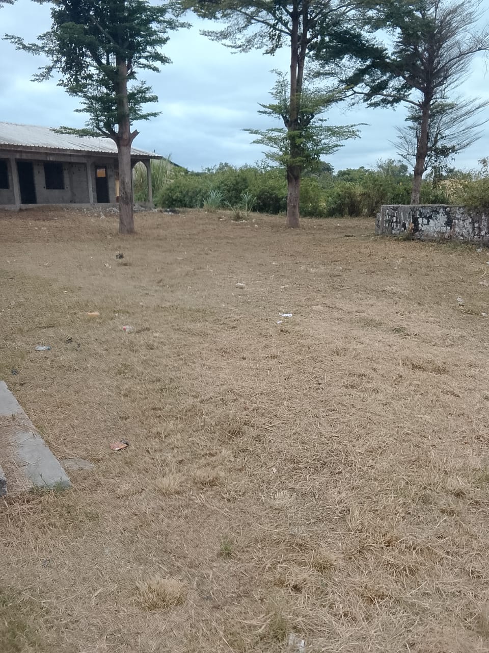 Photo 46 — après les travaux, Lycée agricole du km 17 à Brazzaville