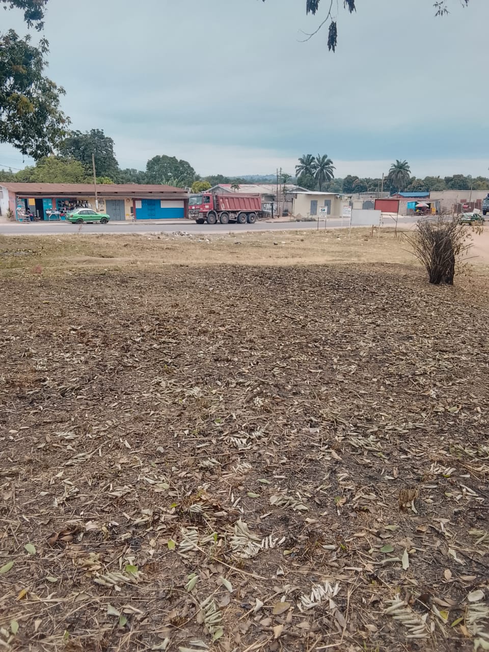 Photo 47 — après les travaux, Lycée agricole du km 17 à Brazzaville