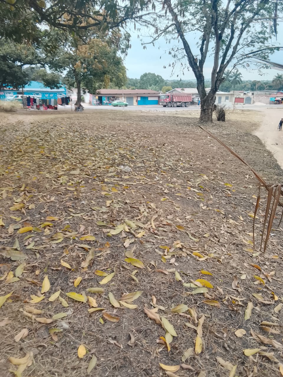 Photo 48 — après les travaux, Lycée agricole du km 17 à Brazzaville