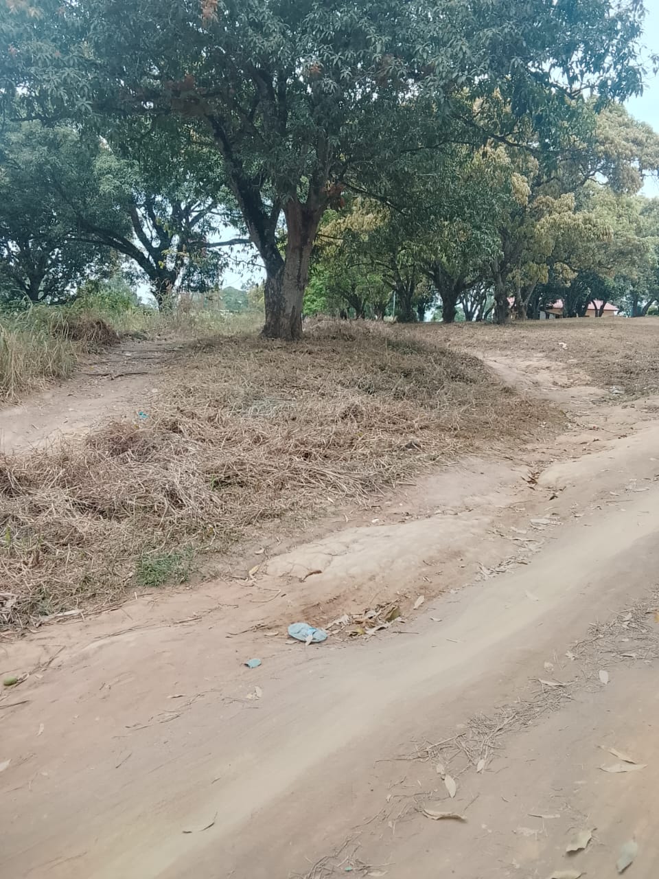 Photo 49 — après les travaux, Lycée agricole du km 17 à Brazzaville