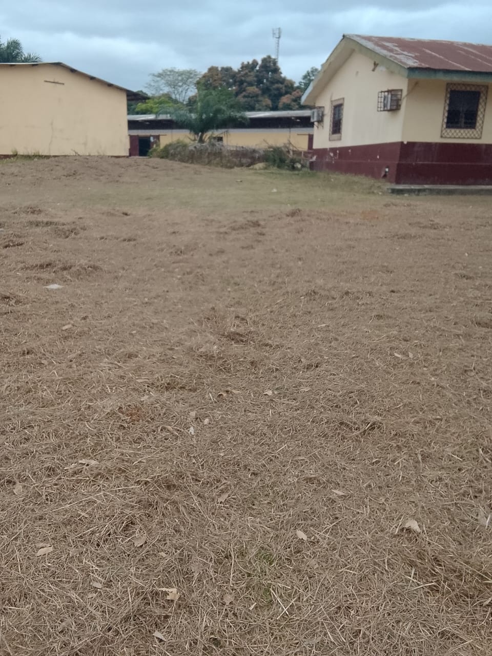 Photo 51 — après les travaux, Lycée agricole du km 17 à Brazzaville